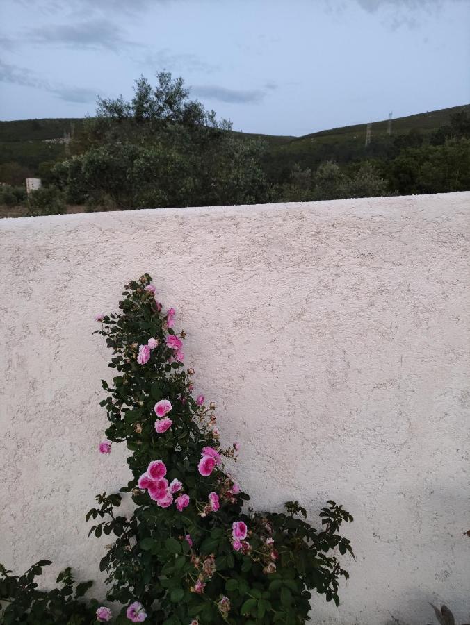 הוילה Porto de Mós Casa Dos Vales 11 מראה חיצוני תמונה